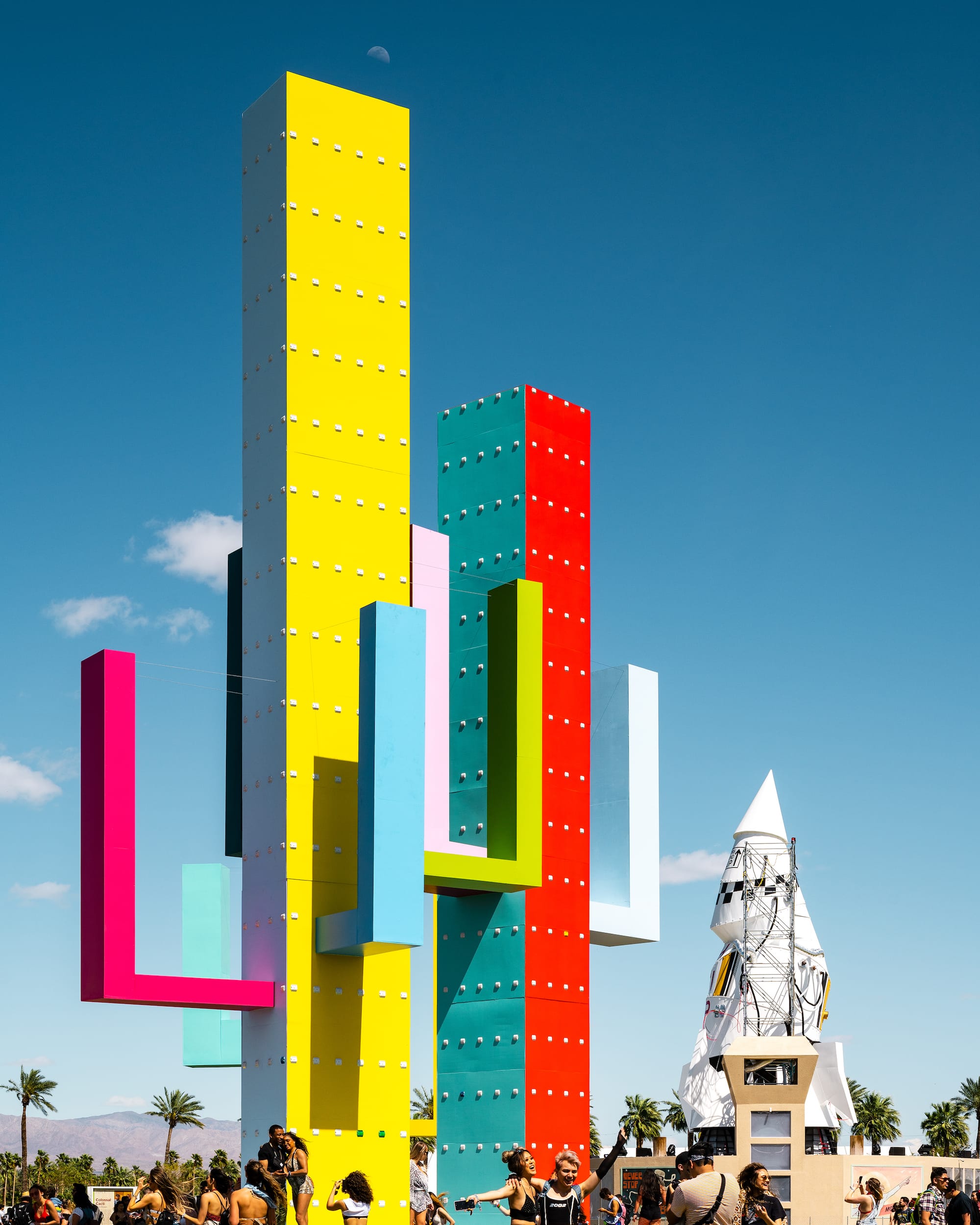 巨大仙人掌,科瓦奇办公室-7