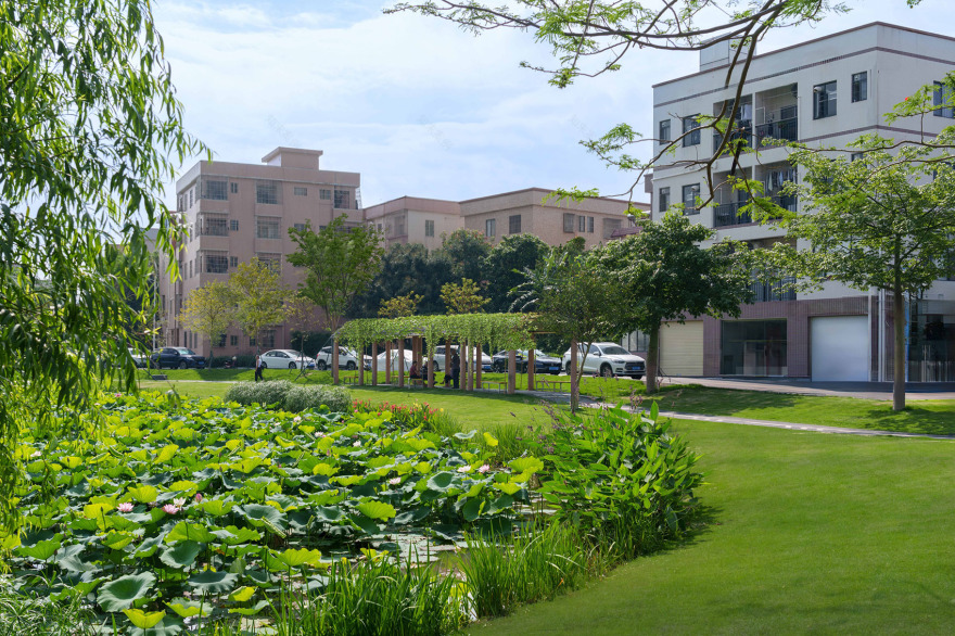 北滘镇“十村示范”北滘社区南塘片区(一期)提升项目丨中国佛山丨广东天元建筑设计有限公司(睿住天元)-117