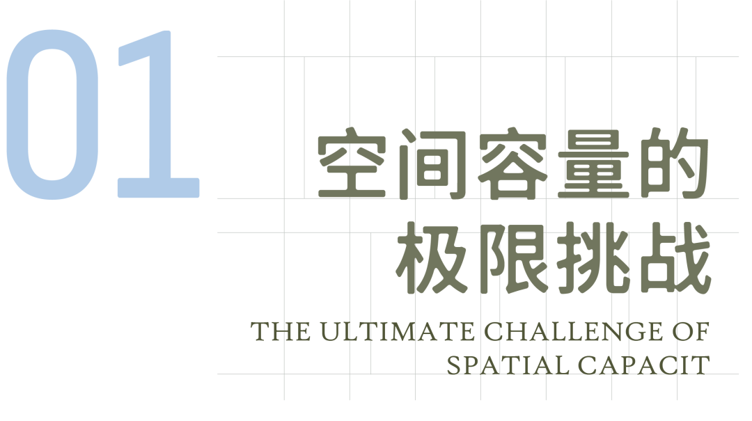 新作 极限容量下的院落空间实验 ：杭丨中国杭州丨孟凡浩-line+-3
