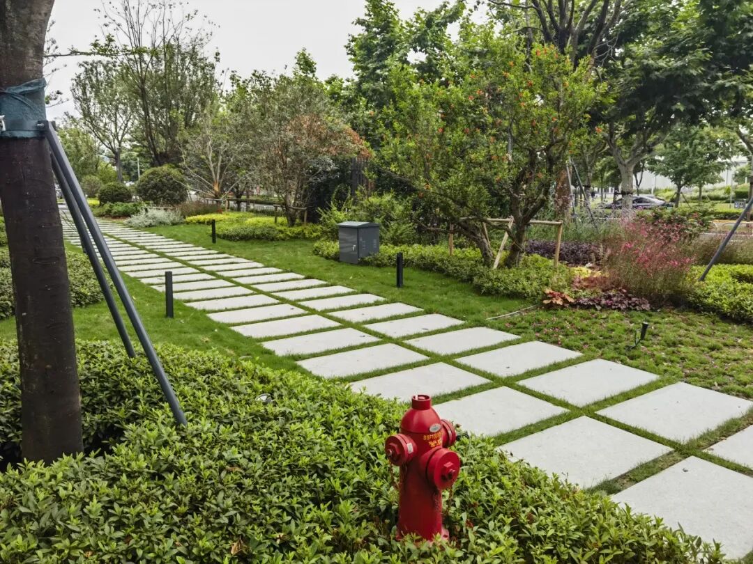 绿色科技新地标丨阿里巴巴徐汇滨江项目一期荣获“二星级绿色建筑标识”认证-47