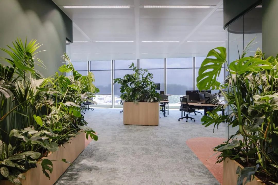 Galapagos企业总部丨荷兰丨CBRE-55