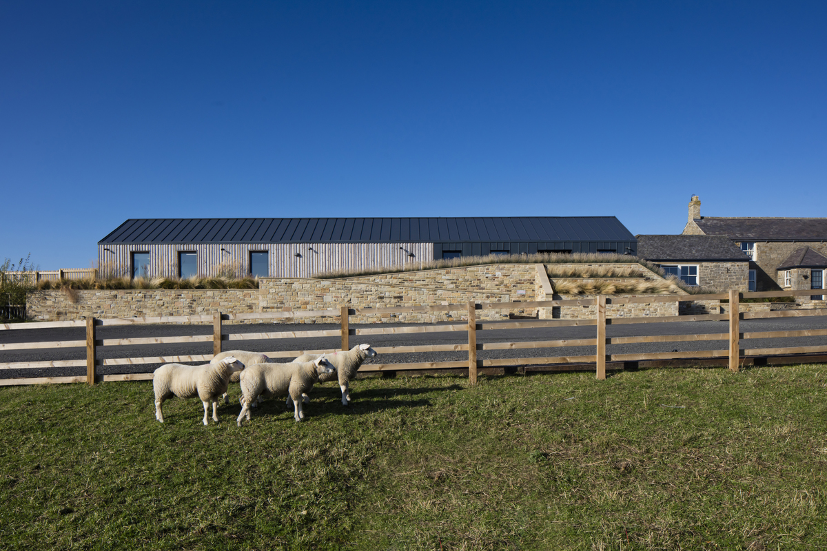 草地上的托儿所，英国 / MailenDesign-60