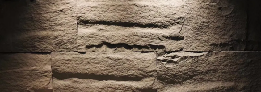 绿色智慧生活样本 | 乡愁记忆的新区实验区-126