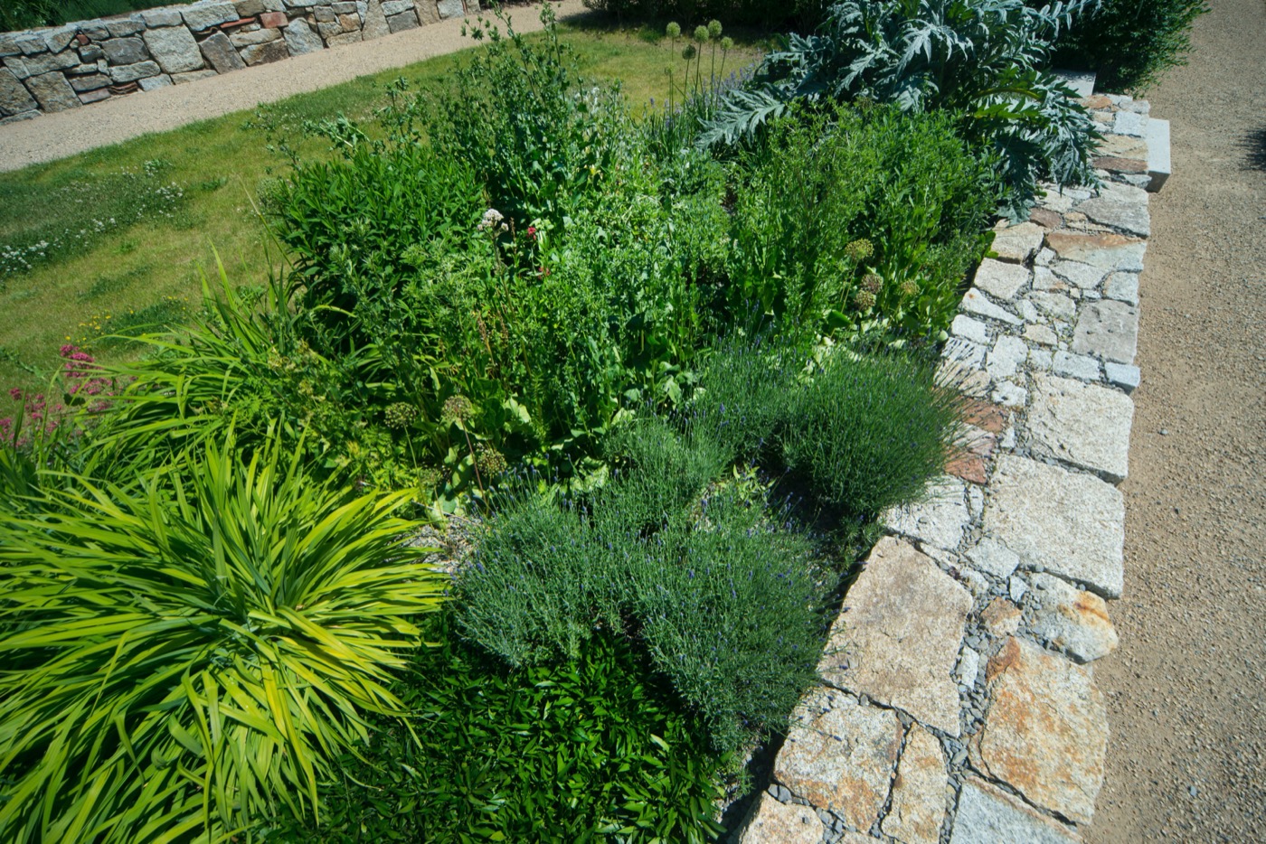 城市花园复兴 · 德国布尔城市中心更新-18