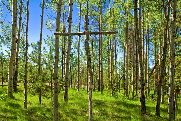 卢森堡Grünewald新住宅区规划丨OKRA景观建筑师事务所-14