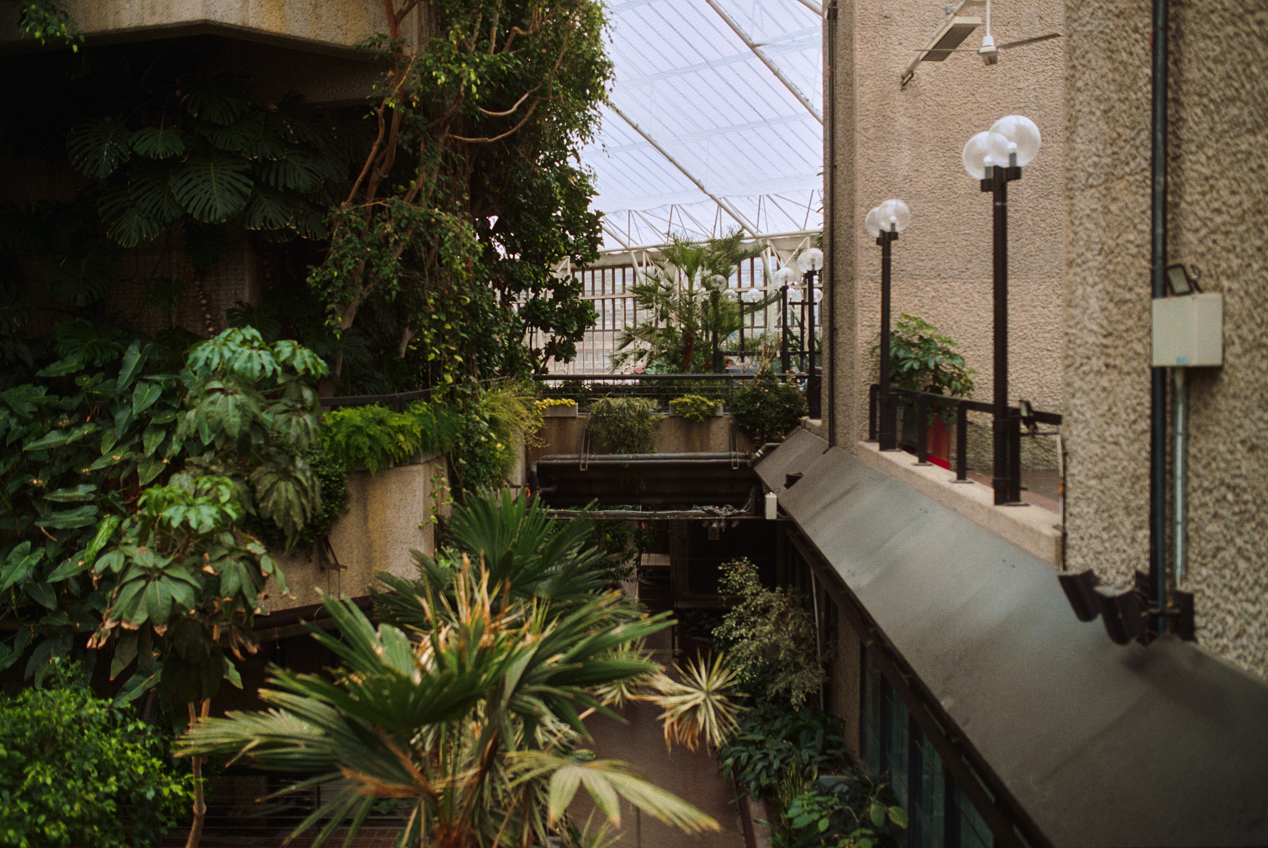 巴比肯温室丨英国伦敦-11