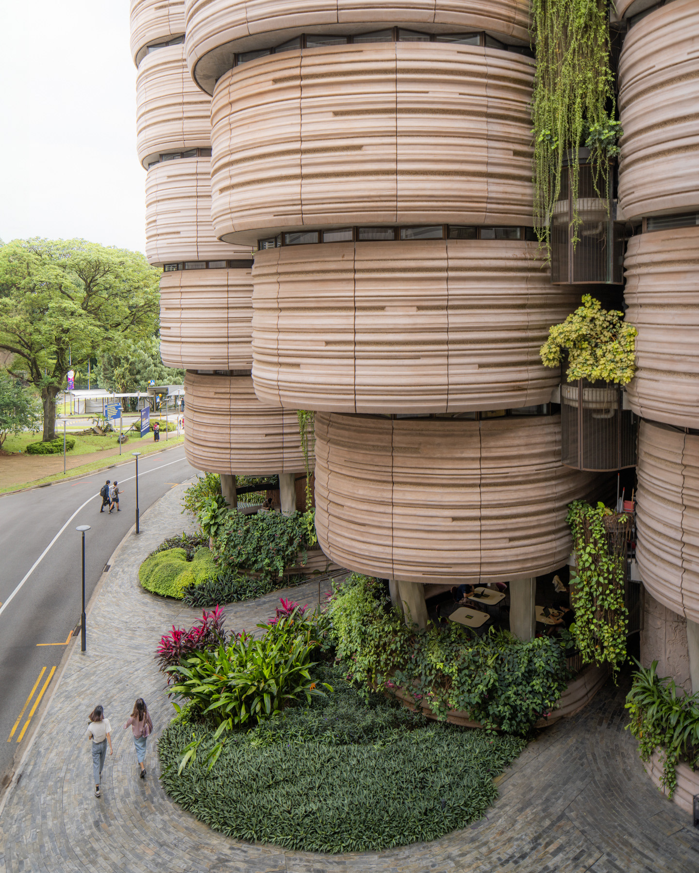 南洋理工大学学习中心丨新加坡丨Heatherwick Studio-9