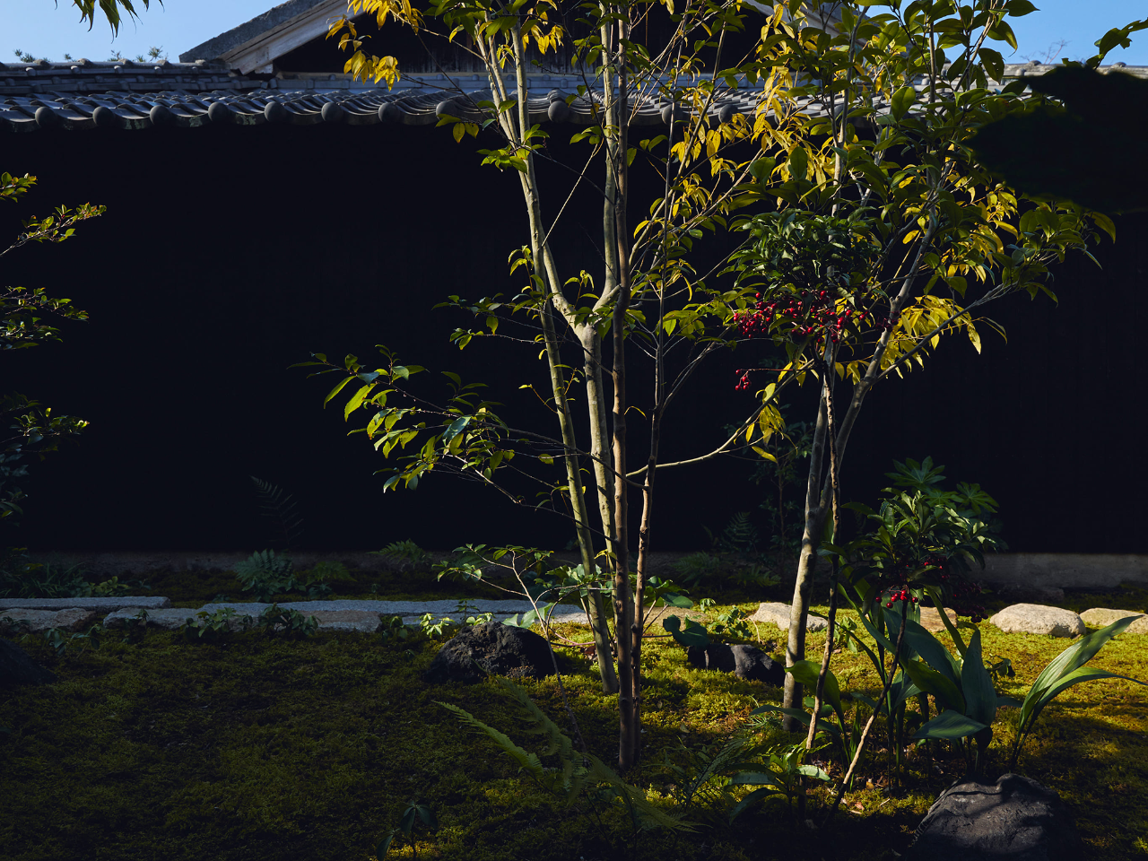 本岛避难所丨日本丨Makoto Yamaguchi-44