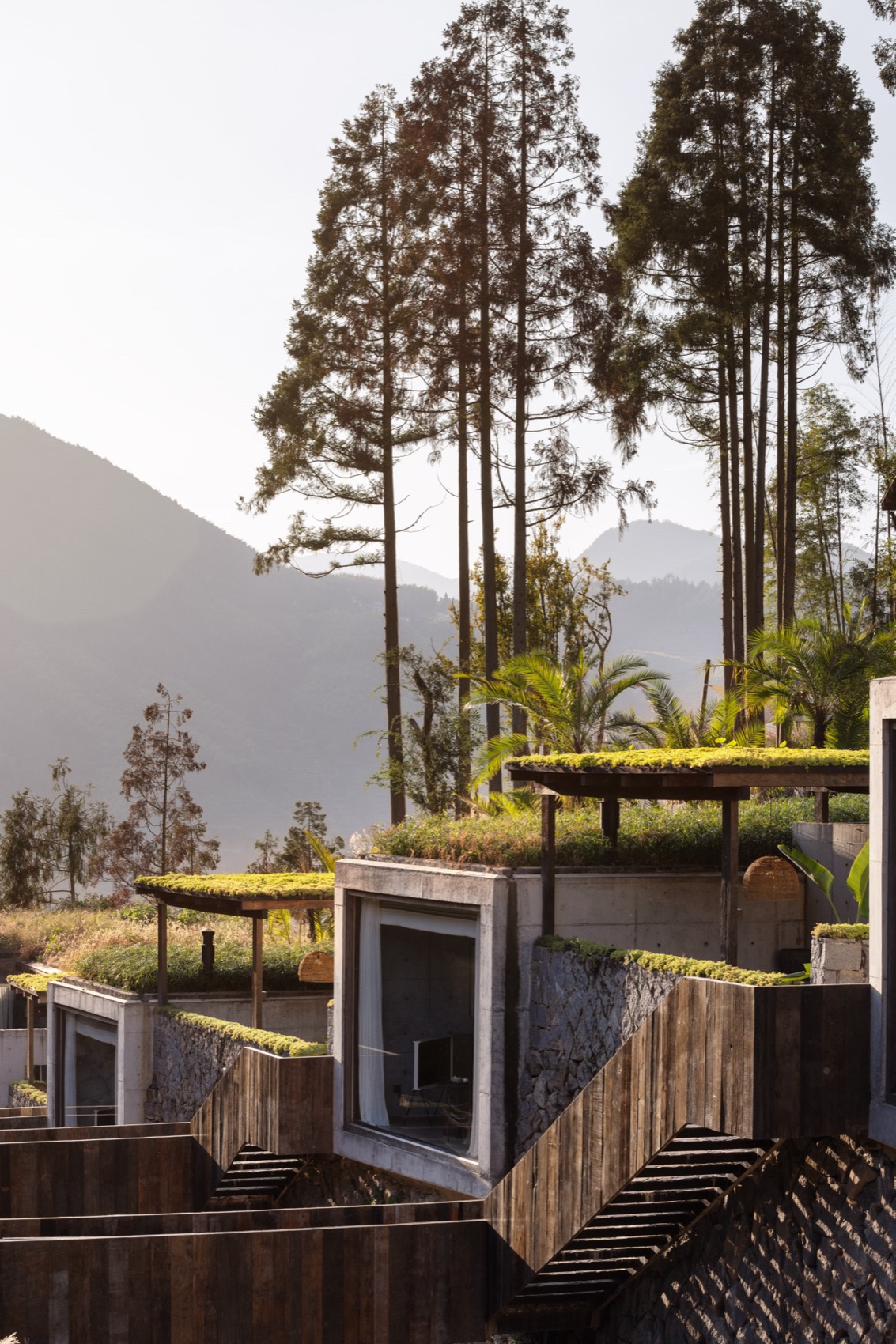 秘伽度假酒店 Murka Hotel（二期）丨中国温州丨杭州偲所设计 Thinking Design-29