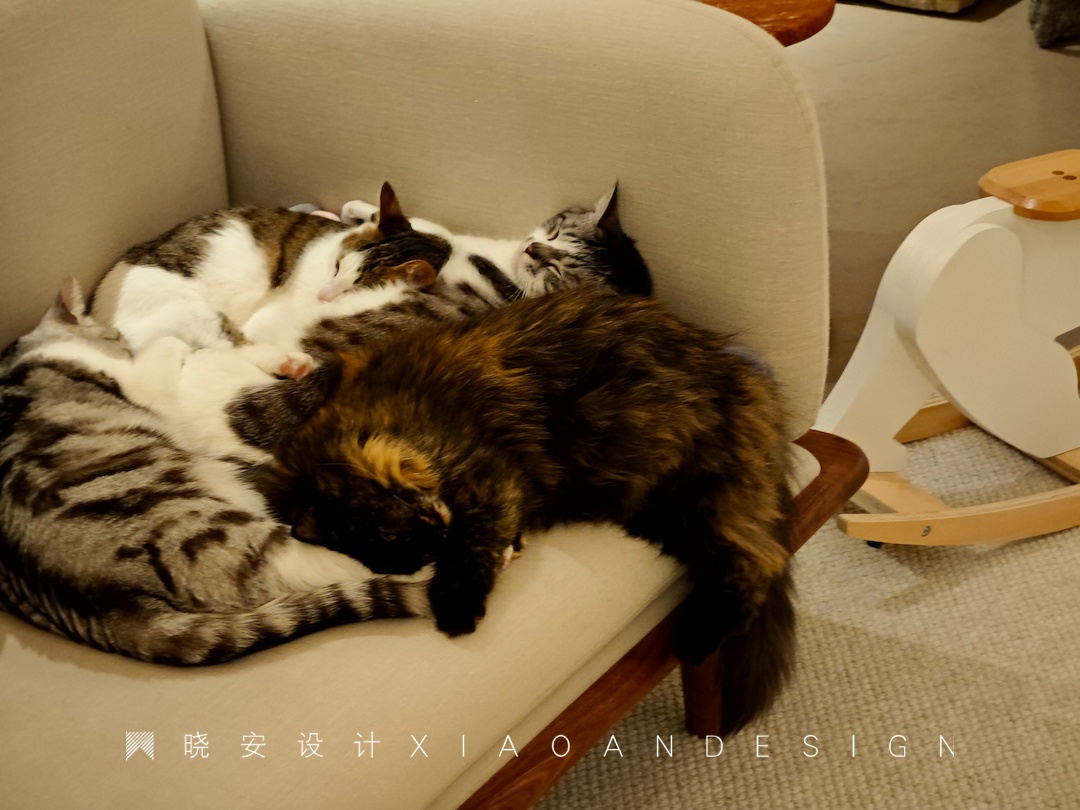 萌宠+二人世界,微侘寂美学戳中心巴丨晓安设计-38
