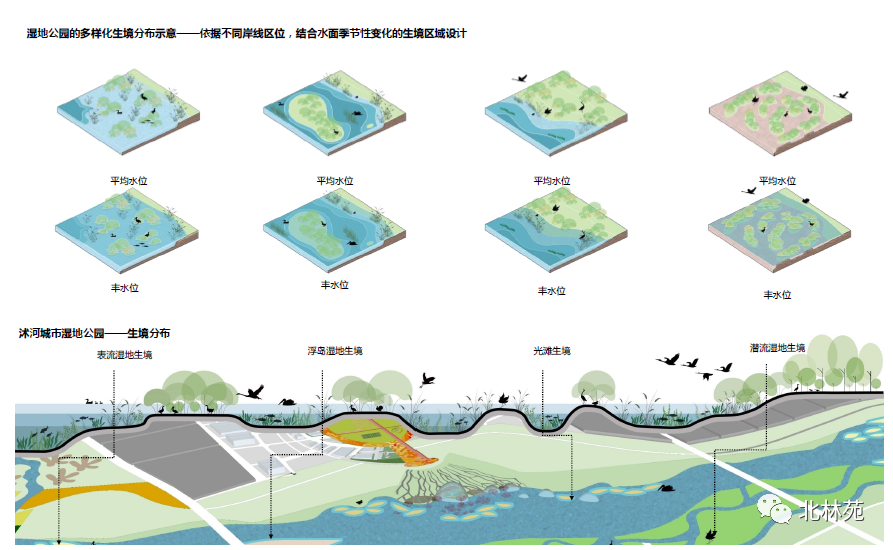 北林苑城市滨水空间设计 | 生态、文化、活力的新篇章-27