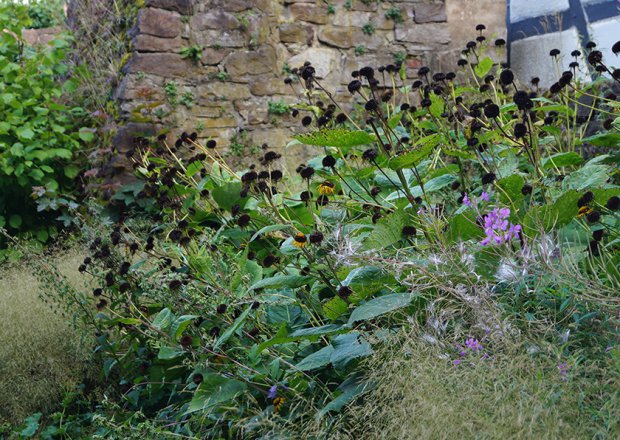 2023 年霍特尔州立花园展

注：Hö·ter可能是一个特定地点名称，若有更准确的信息或标准译法，可按需调整 丨Büro Christian Meyer-9