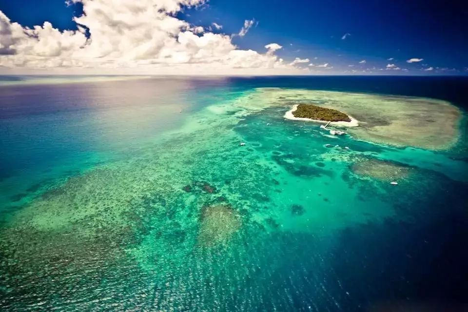 全球气候危机 | 亚马逊雨林火灾与生态破坏-188