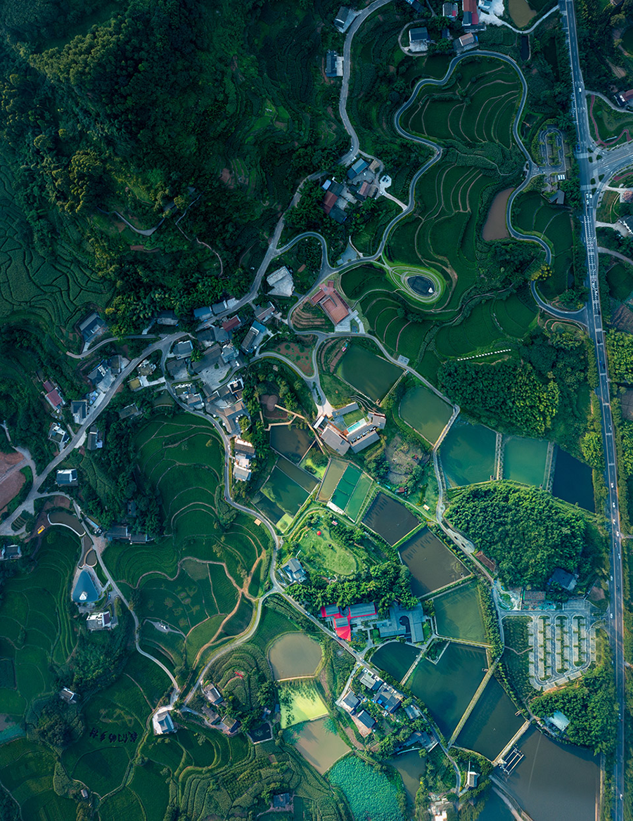 乡村书局丨中国宜宾丨锋茂建筑-4