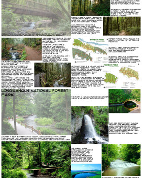 SEMESTER 4 (WALK INTO NATURE)