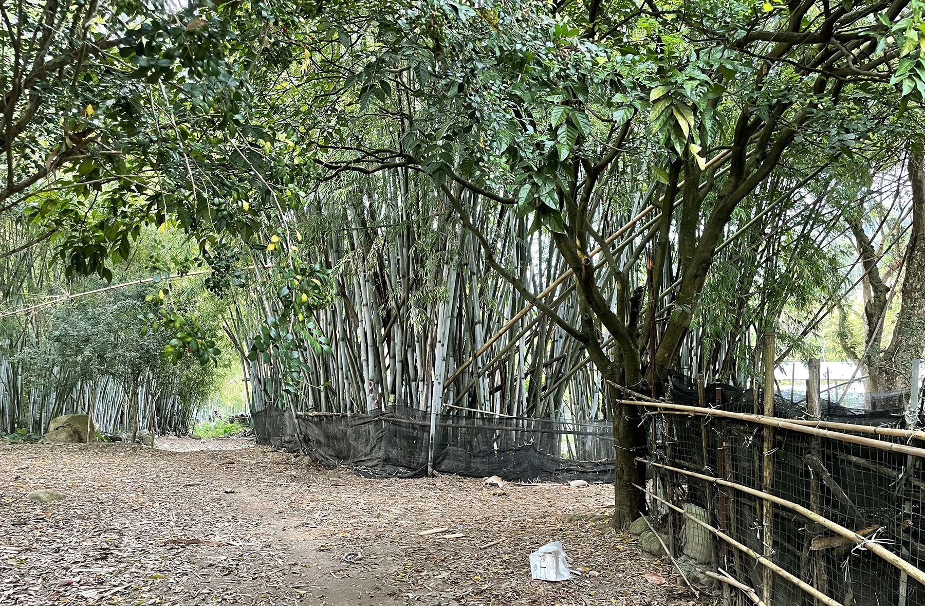 惠州兰门老村改造项目丨中国惠州丨REDe Architects-8