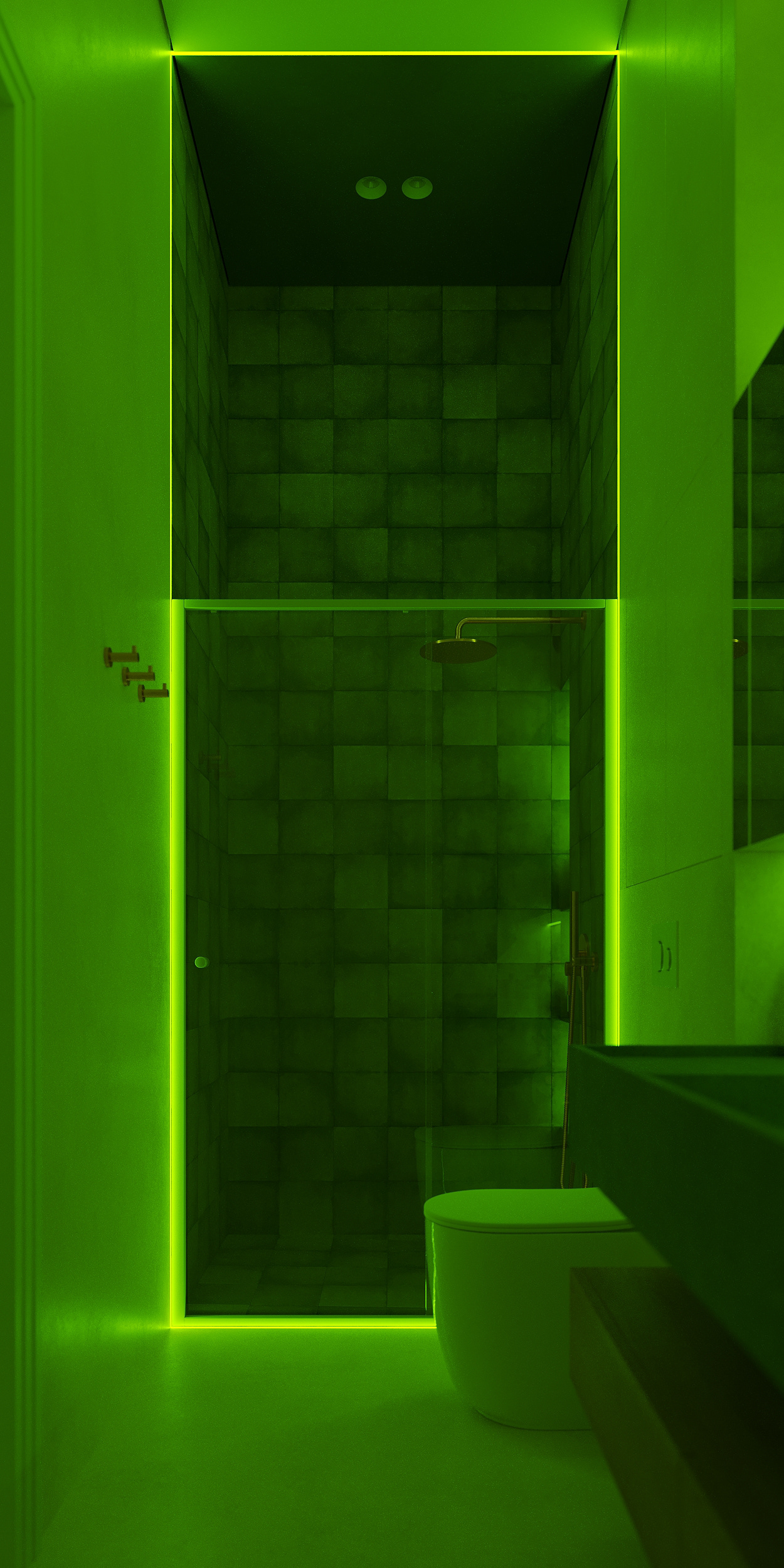 房子 250 或 250 号房屋丨俄罗斯特维尔丨Igor Klishev-49