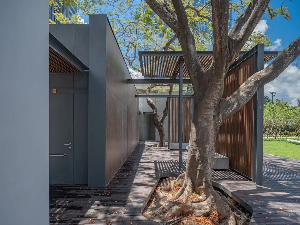 香港海滨道公园丨中国香港丨ArchSD-33