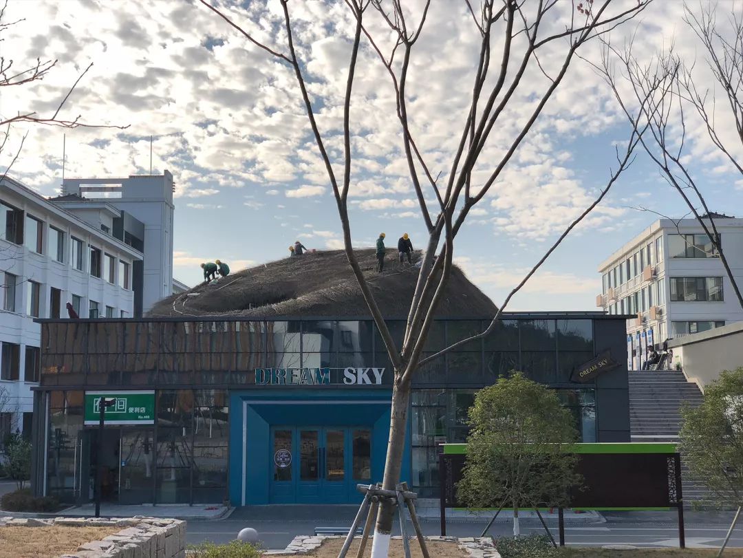 浙江安吉两山茶舍 | 竹境营造的公共空间-9