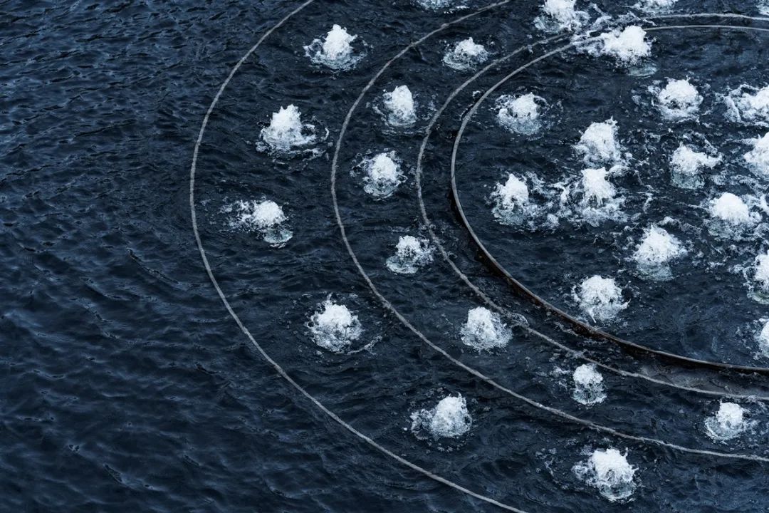 粤海·云港城项目 9#地块示范区园林工程专业承包丨中国广州丨广州普邦园林股份有限公司-28