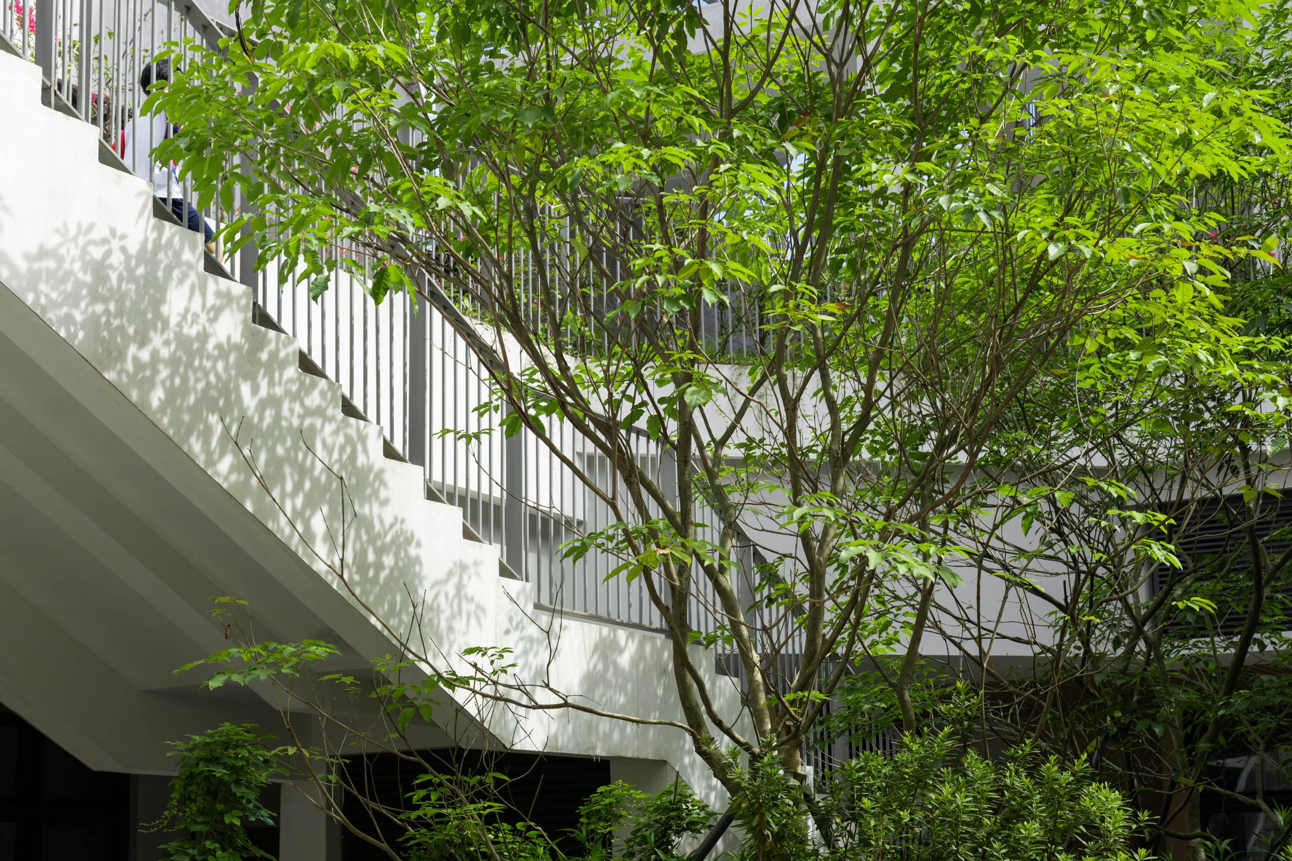 深圳市宝安中学(集团)海天学校丨中国深圳丨HILL 希尔景观-86