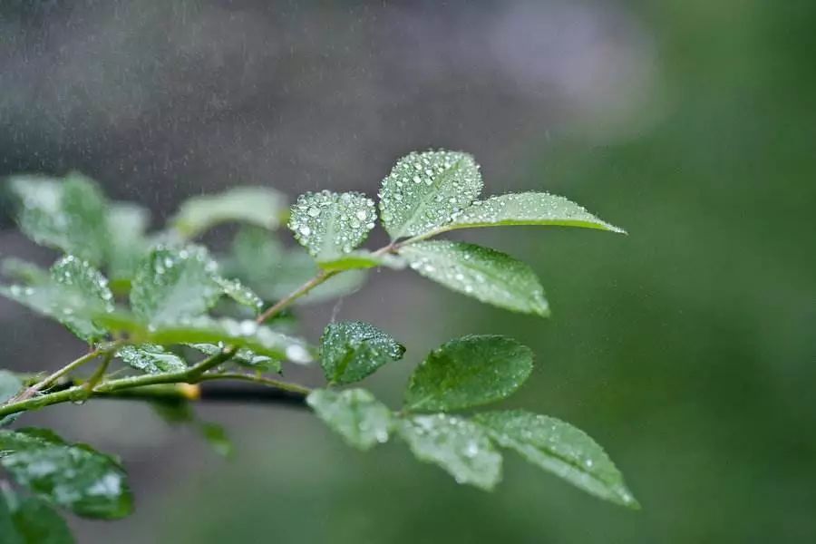 春雨中的紫禁城 | 历史与设计的完美碰撞-35