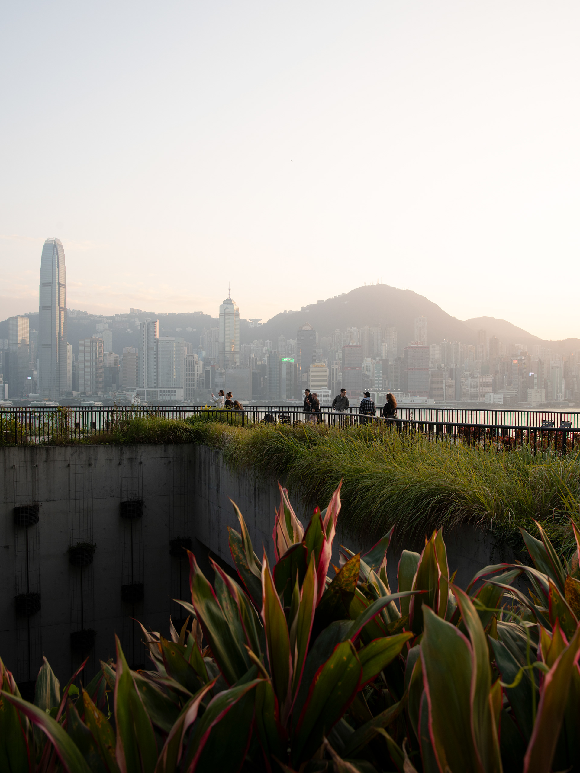 M+ Museum Hong Kong I Herzog & de Meuron-10