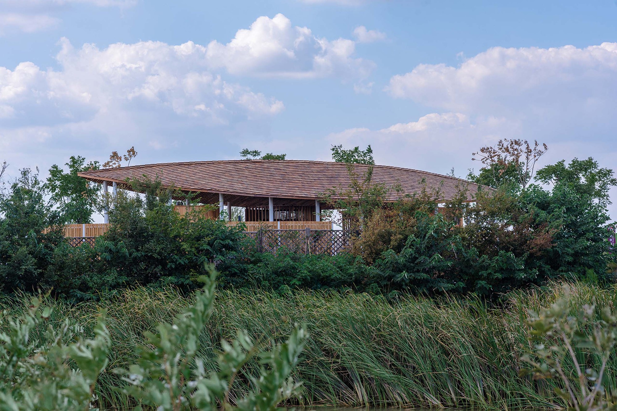 Wu·iang 自然学校服务中心丨中国南京丨Han Xiaofeng 设计工作室-35