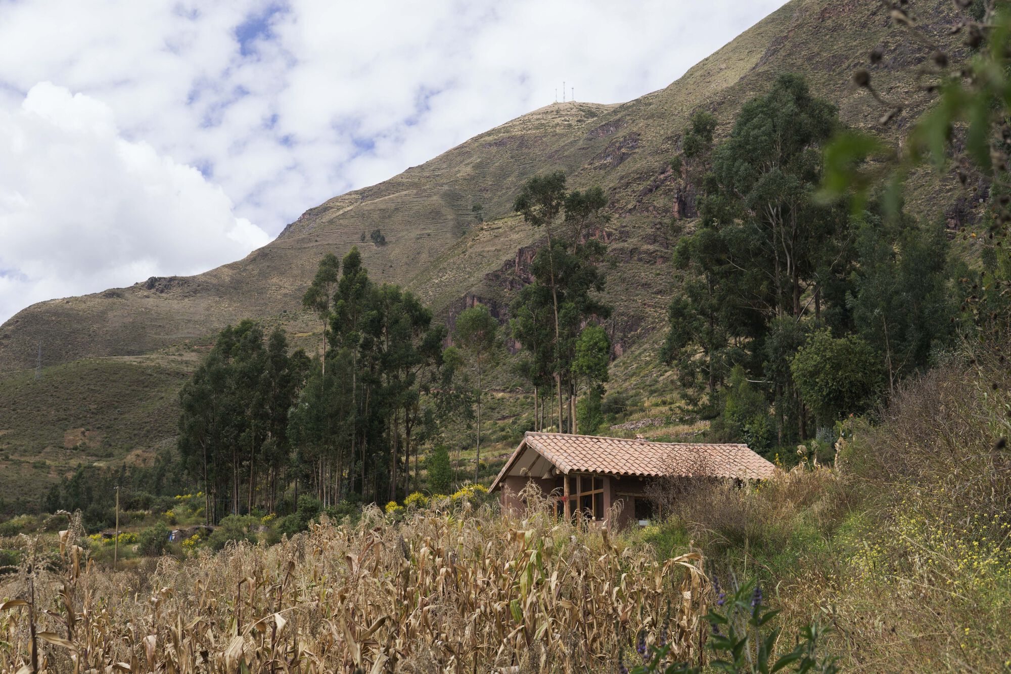 费利西亚纳小屋丨秘鲁丨Taller MACAA-7