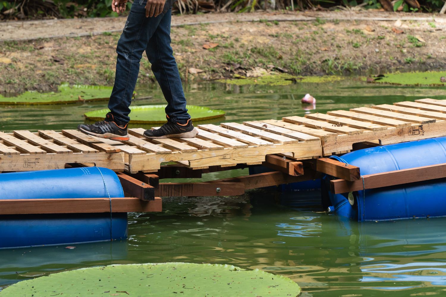 巴西玛瑙斯浮桥丨Colectivo Aqua Alta-10
