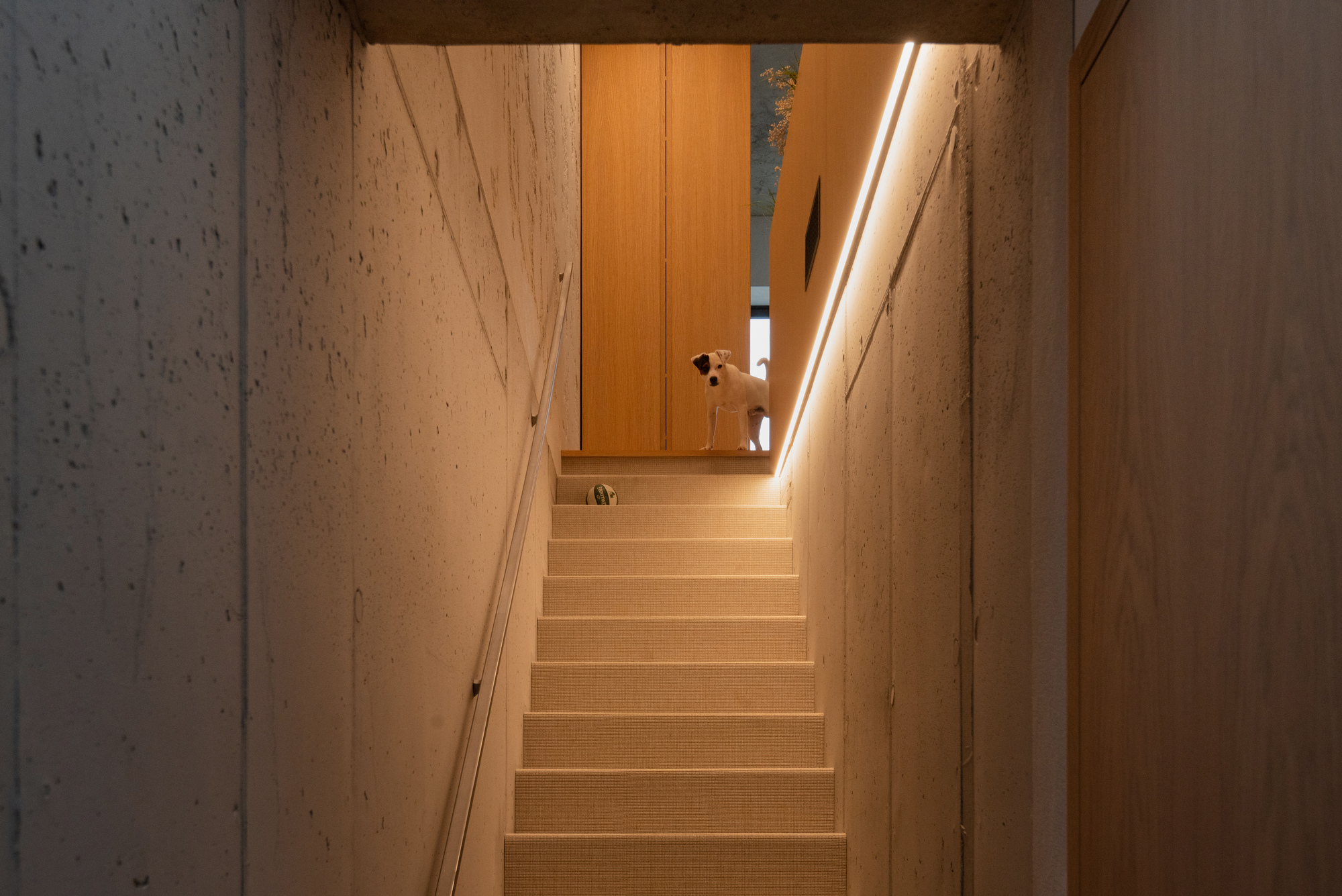 丨立陶宛考纳斯-44