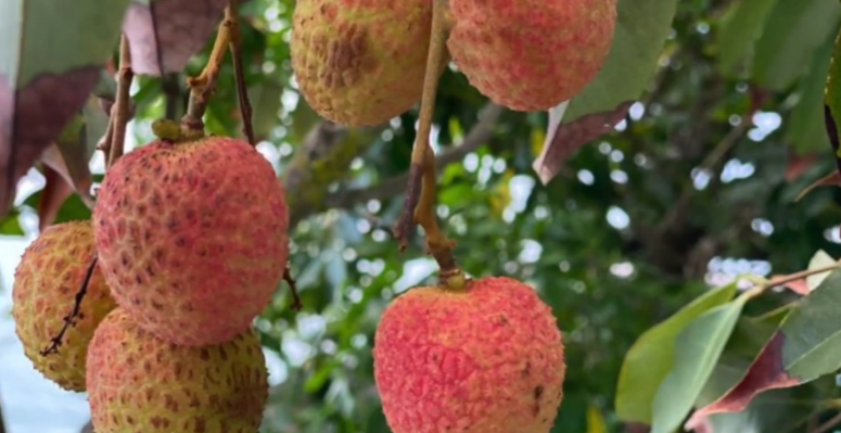 AECOM全球建筑与人居环境业务-53