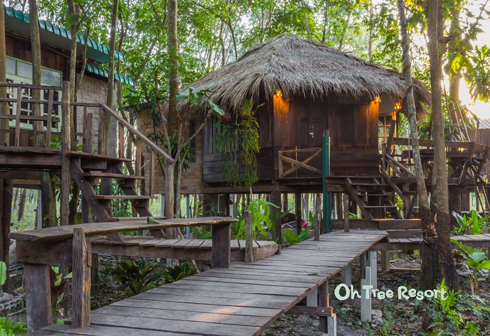 7 บ้านไม้ยกพื้นใต้ถุนสูง แบบไทยโบราณ บรรยากาศร่มรื่น - บ้านสไตล์-16