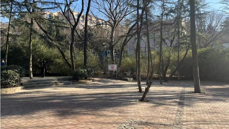 百姓乐园：榉林山焕新归来，悦享自然人文之美-28