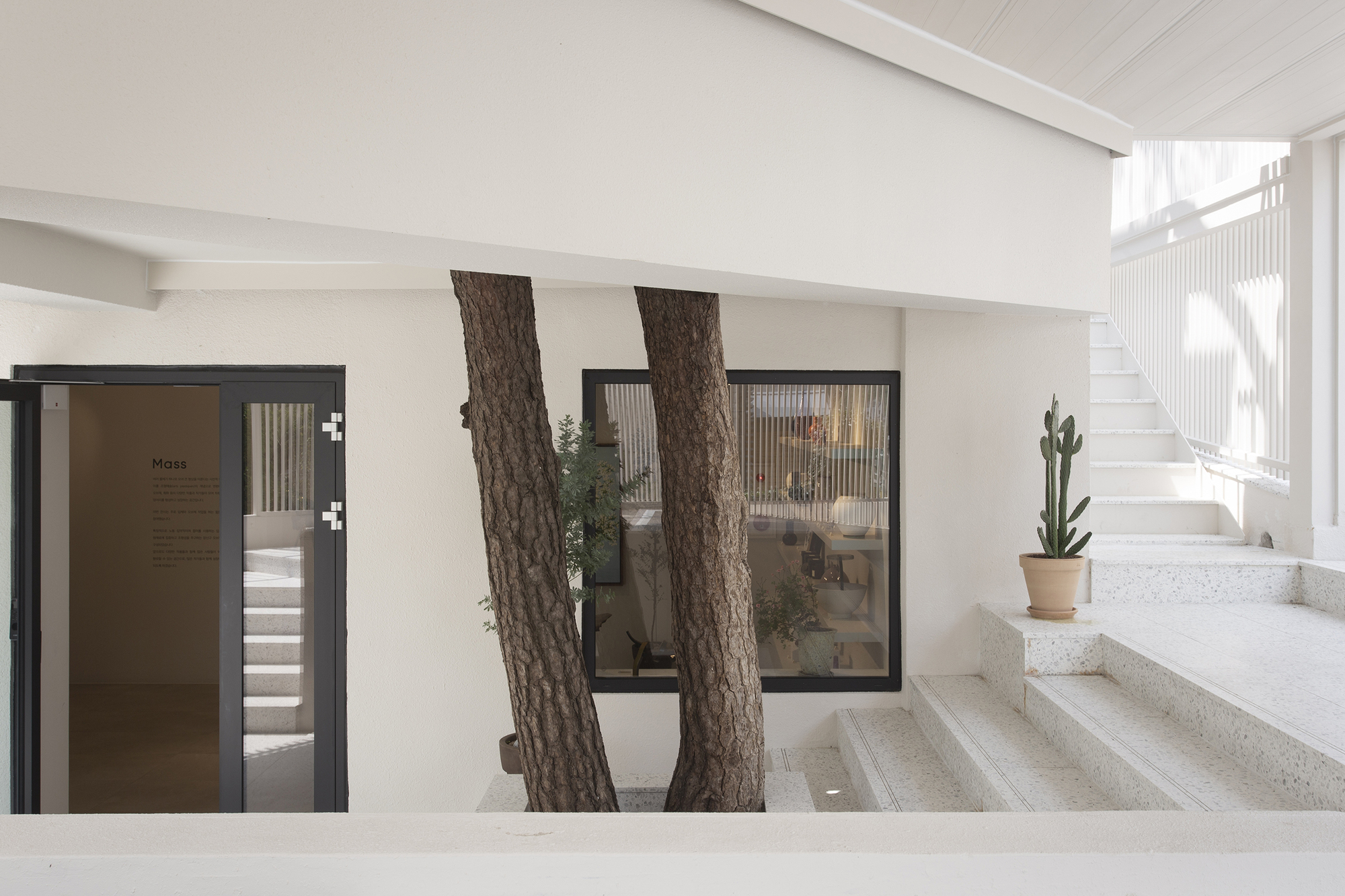 MASS Arts Plastiques Gallery / Form & Function-48