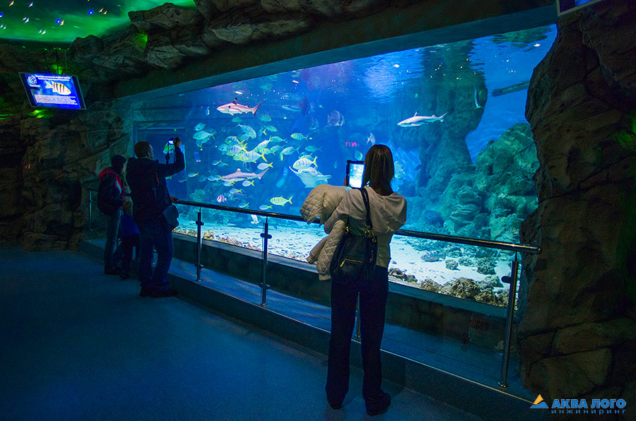 莫斯科和沃罗涅日的“РИО”海洋馆丨俄罗斯莫斯科丨Аква Лого Инжиниринг-12