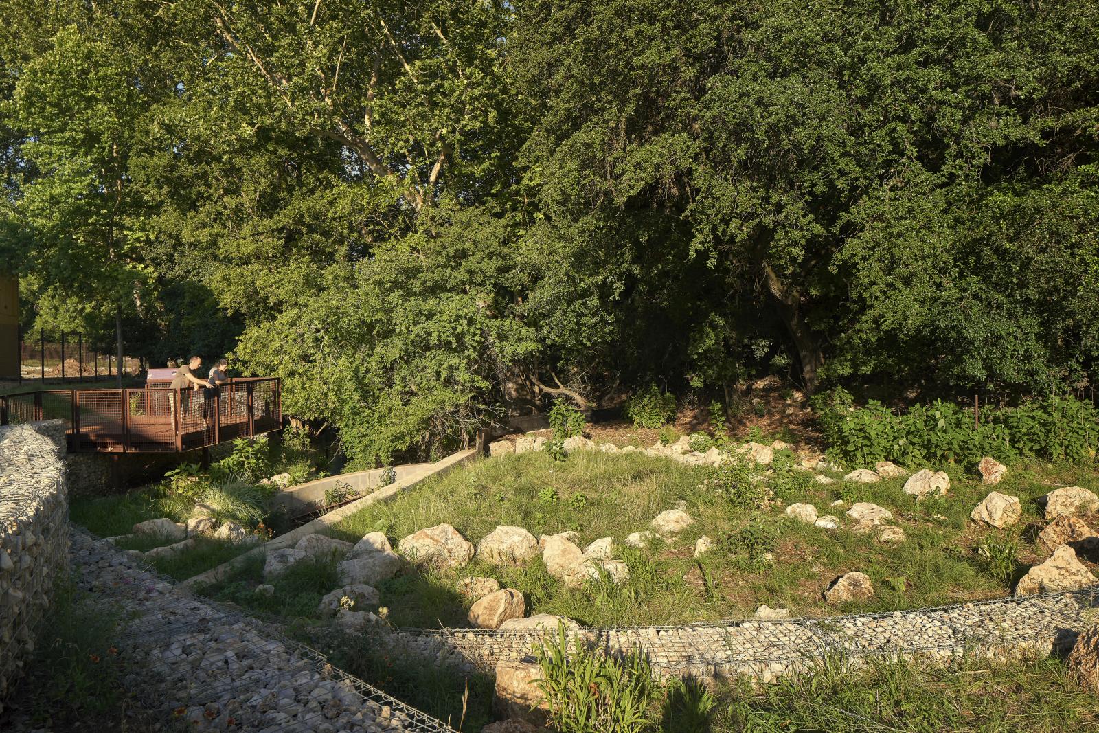 Headwaters at the Comal-8