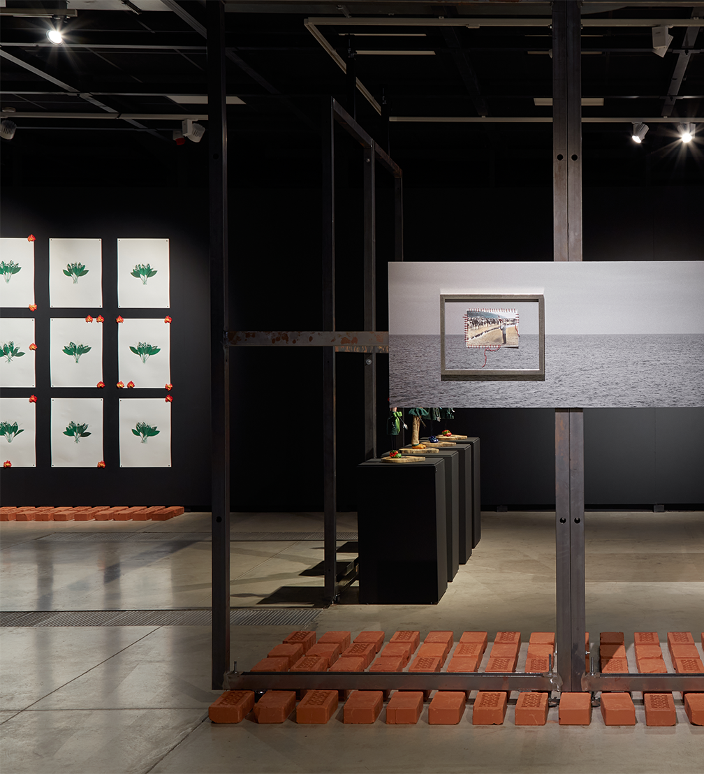 Izstādes «Dekoloniālās ekoloģijas» arhitektūra — «Gaiss» ← FOLD-0