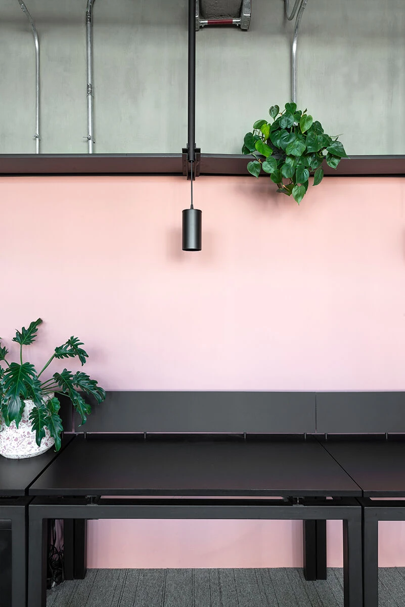 墨西哥城繁忙大道上的空中办公室改造-54