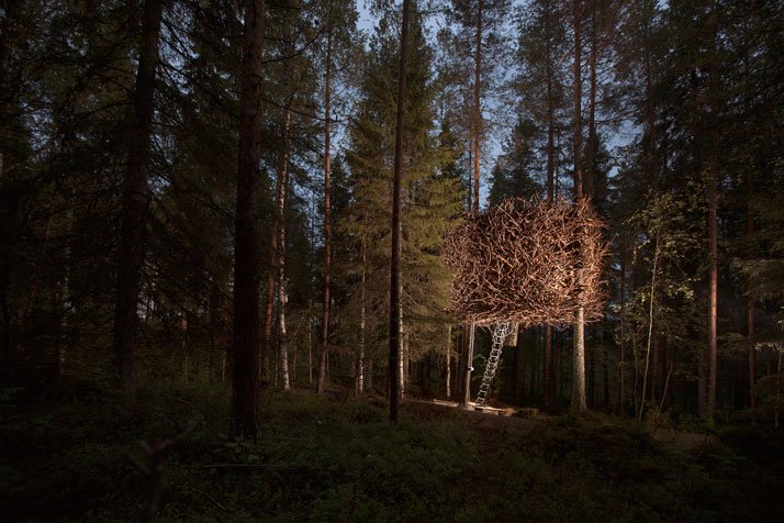 Treehotel...Sleep in Nature!-35