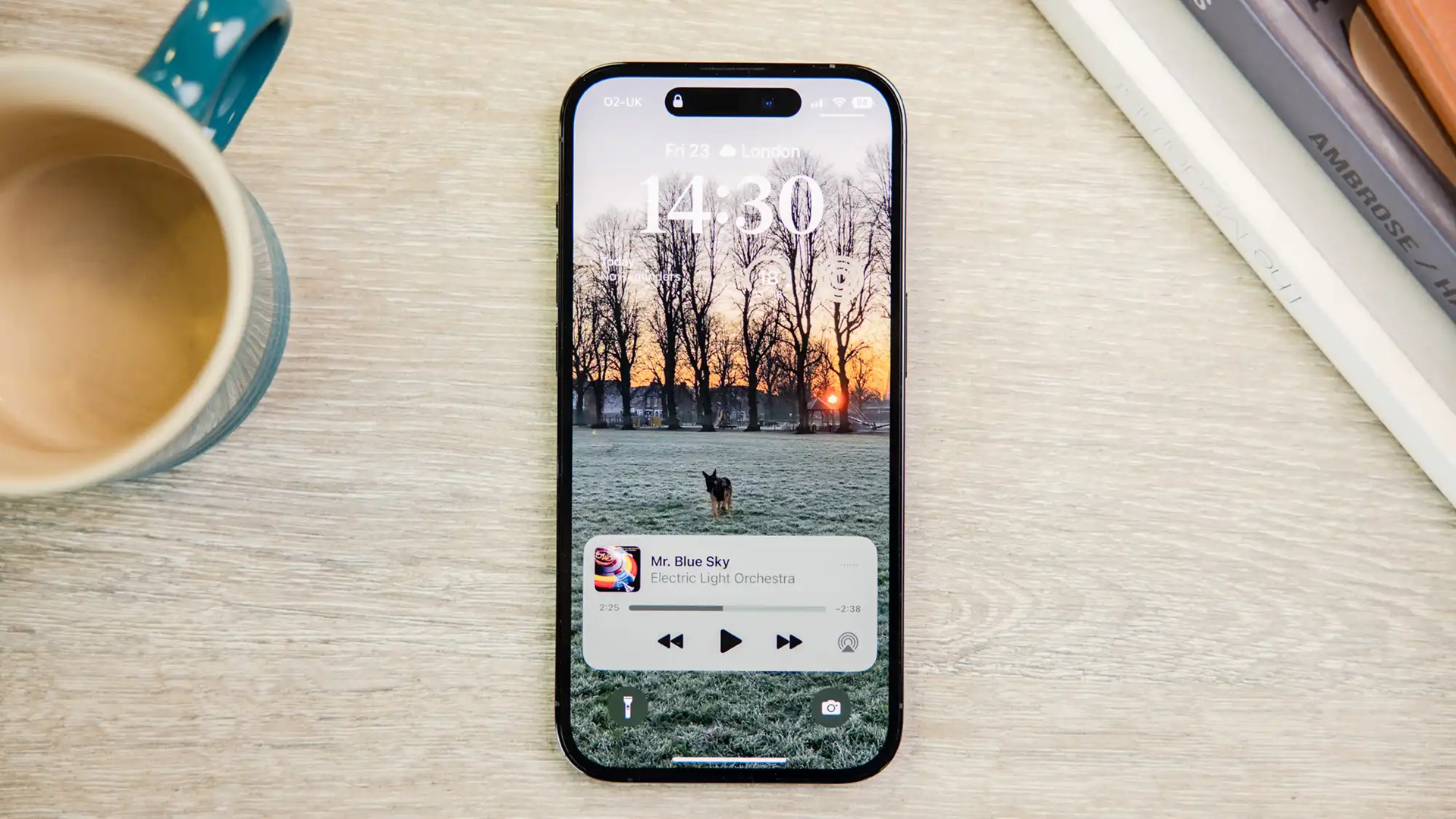 Language and Linguistics / English Lectures-5