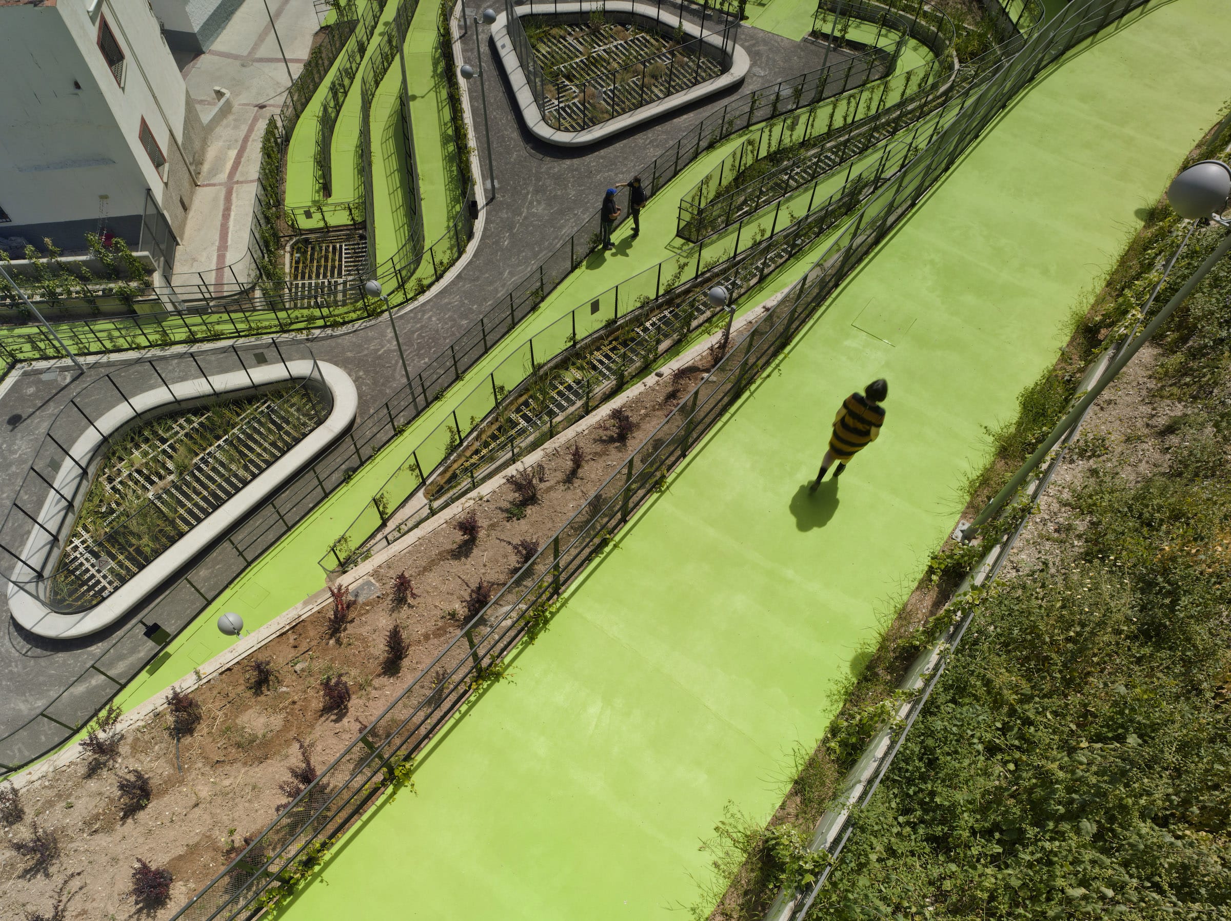 El Coso(造水花园里的神秘故事)-11