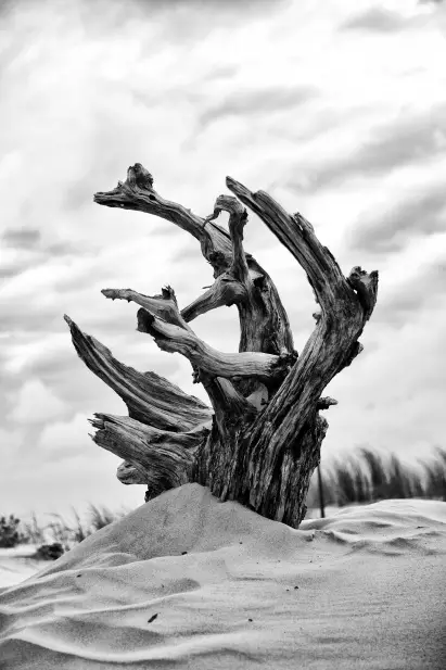 白墙装饰之魂 | 独特图片打造个性空间-4