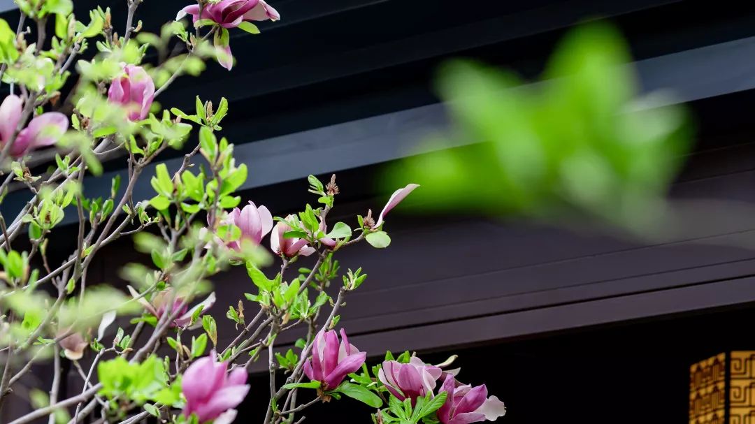 新中式美学大宅,传承中国建筑之美-23