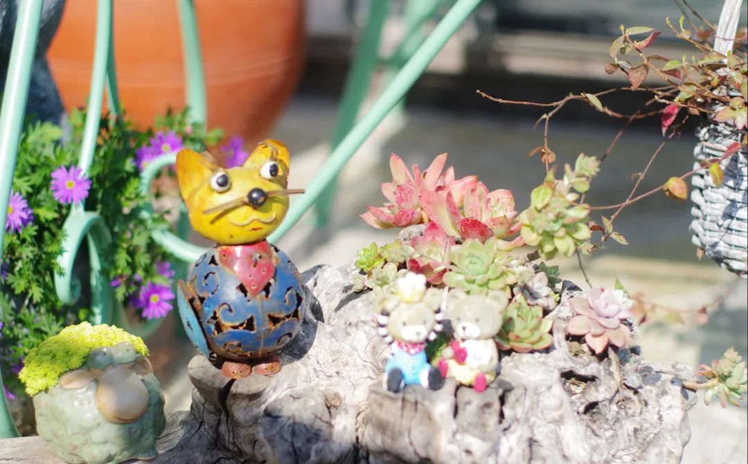 疫情下的自然憧憬 | 打造属于自己的一方花园天地-46