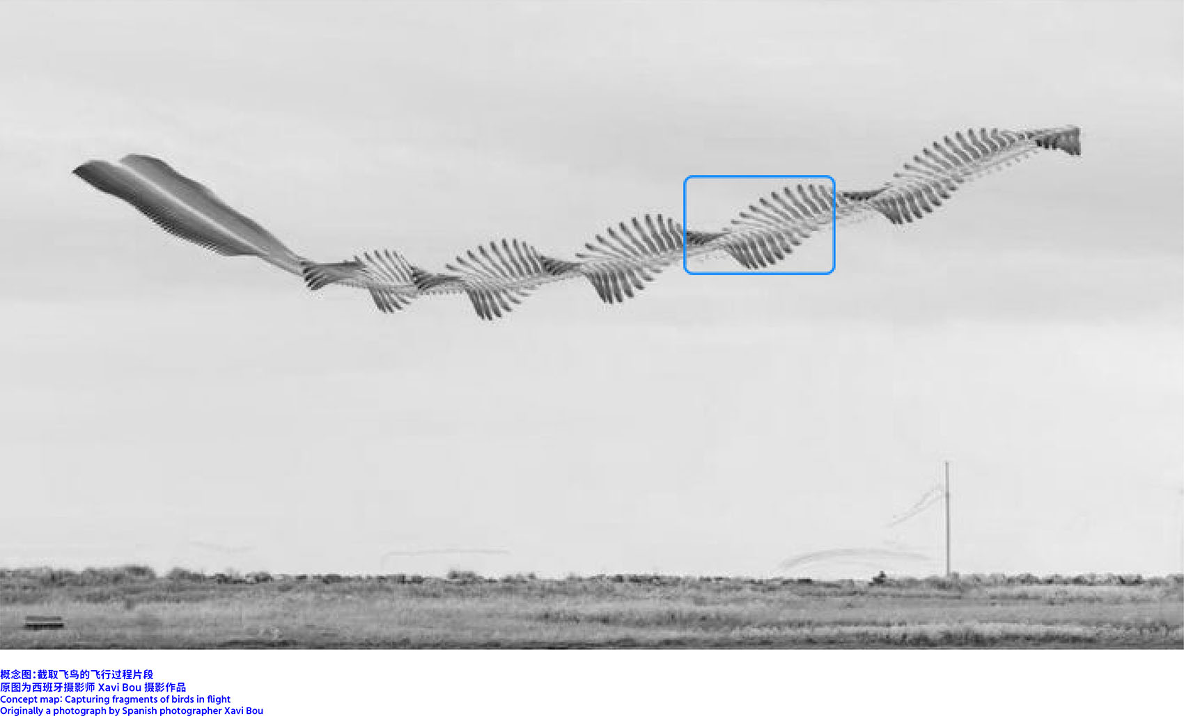 飞鸟森林丨中国杭州丨跳房子建筑工作室-33