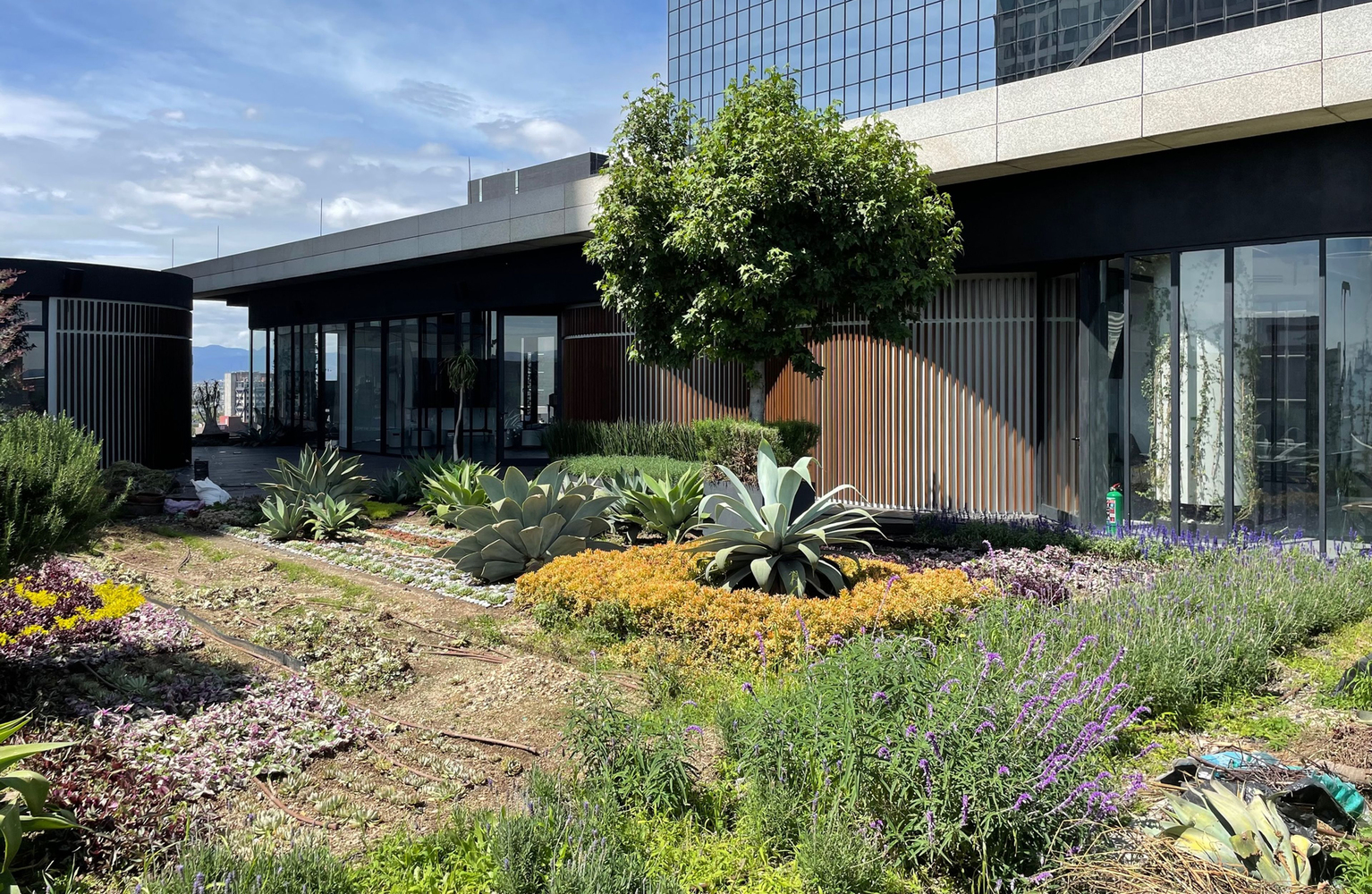 金融科技 TK 办公室丨墨西哥墨西哥城丨QARQ-10