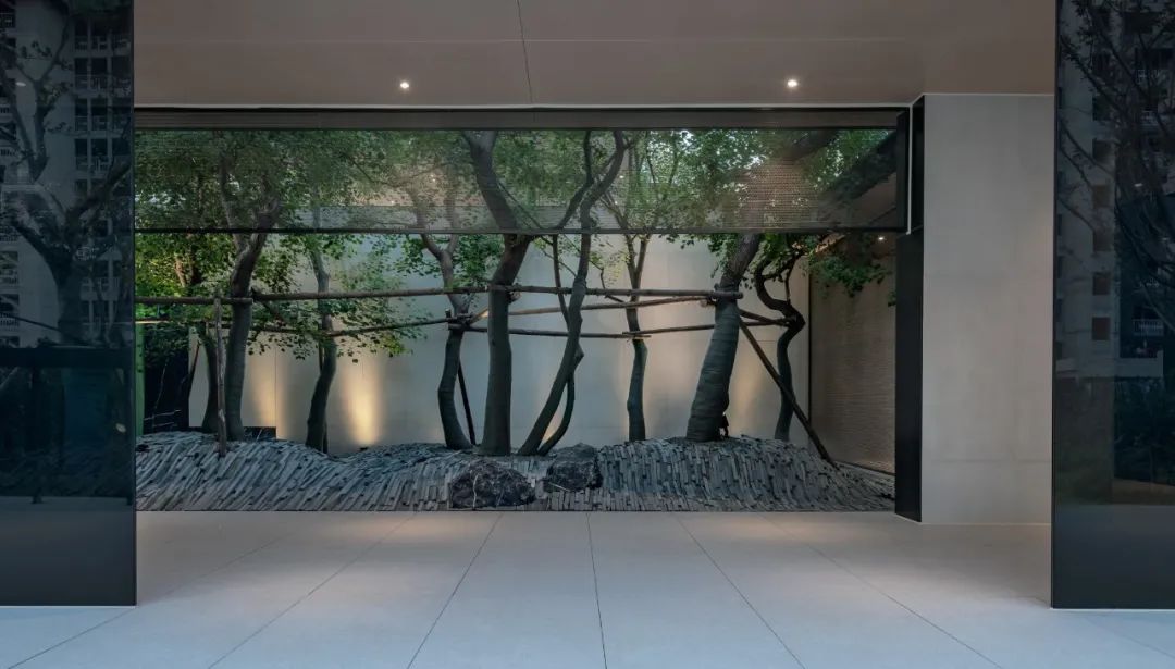 金沙操盘 | 成功经验：从河南火到全国各地（实地考察+主题演讲）-82