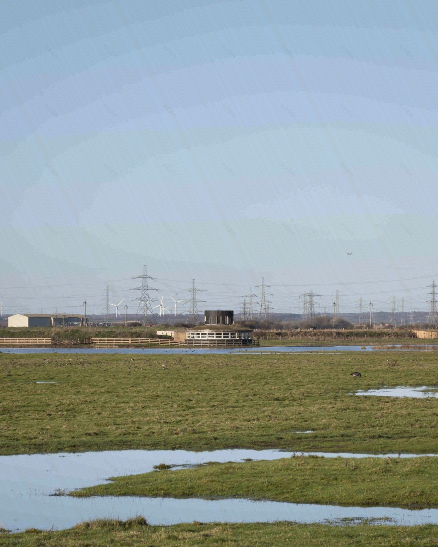 索尔索姆池塘鸟类隐蔽所丨英国丨Child Graddon Lewis-49