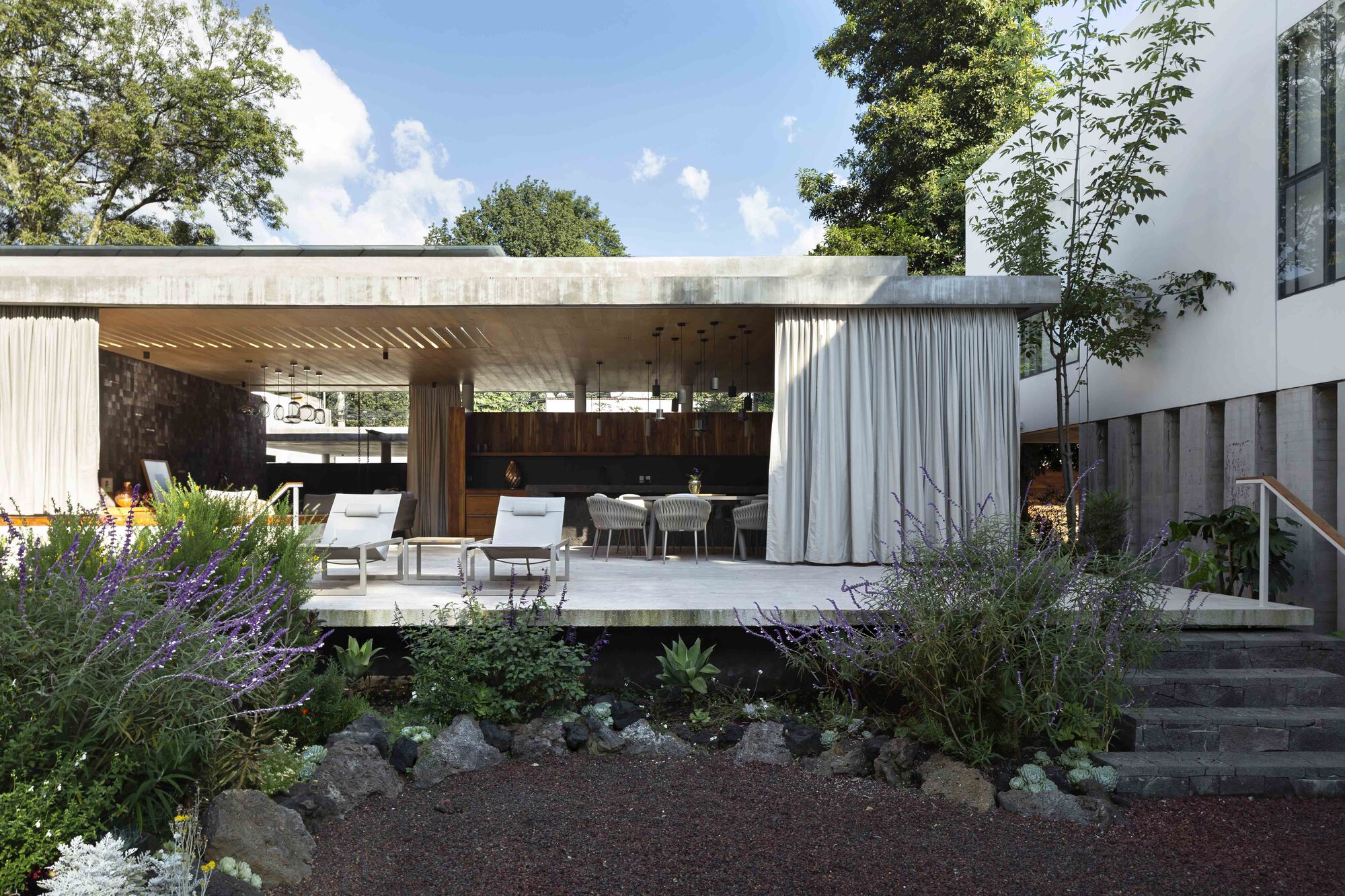 蜂鸟屋丨墨西哥墨西哥城丨Estudio Libre MX-16